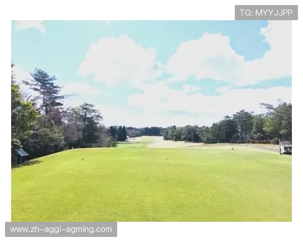 高尔夫联赛决赛：统治赛场